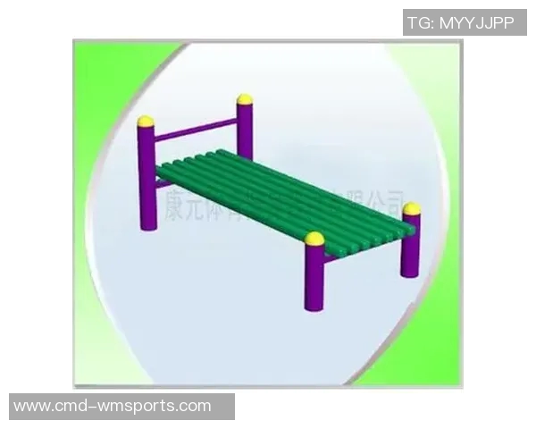 山东禹城市康元体育健身器材有限公司助力全民健身打造健康生活新方式